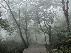 -洛阳白云山景区