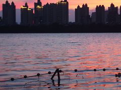 -艾溪湖湿地公园