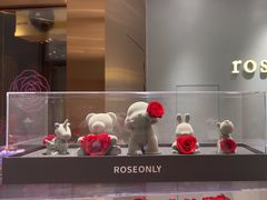 -ROSEONLY诺誓(磐基中心店)
