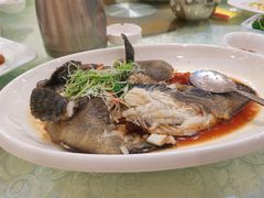 清蒸桂花鱼-德兴海鲜渔港(辉煌大厦店)