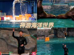 -威海华夏城景区