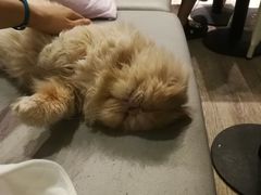 -小时光咖啡馆(开森度假森林店)
