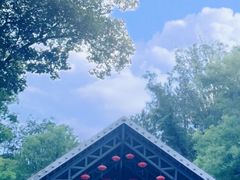 -老山国家森林公园
