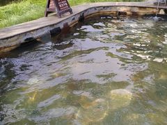 -国御温泉度假小镇