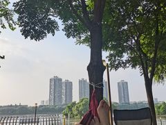 -长白岛森林公园