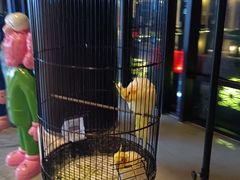 -上海崇明金茂凯悦酒店