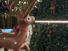 -深圳湾万象城(南山店)