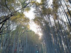 -宝石山