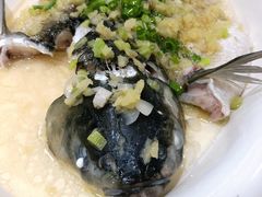 姜茸蒸泉水鲩-勝記酒家·37年老字号·经典粤菜(荔枝公园店)