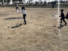 -漕湖湿地公园