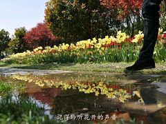 -上海鲜花港