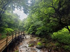 -本溪汤沟绿石谷森林公园