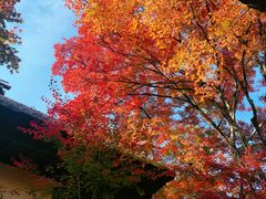 -常寂光寺