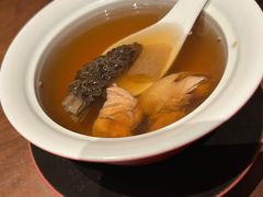 藏区羊肚菌花胶炖走地鸡汤-觅唐MITONG(鸟巢店)