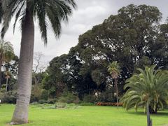 -墨尔本皇家植物园