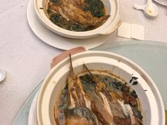 红烧河豚鱼-老季市·三代非遗传承·地标美食老汁鸡(工农路店)