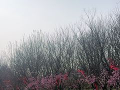 -江苏三台山国家森林公园
