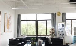 -蚂蚁造型沙龙