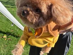 -春晖园度假酒店温泉