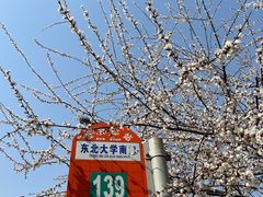 -东北大学(南湖校区)