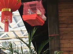 -森谷美食公园(杨行店)