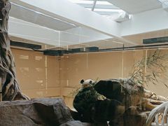 -宁波野生动物园