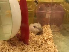 -龙猫仔乐园(惠福东路店)