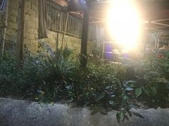 -先机泉水鸡汤(南山老君洞店)