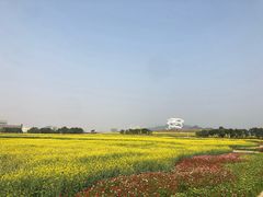 -光明小镇欢乐田园