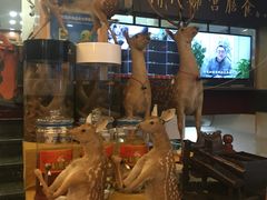 -乔家满族八大碗(流水沟店)