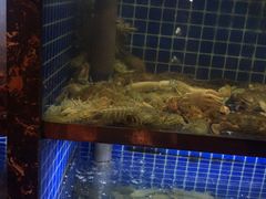 水产区-老五烧烤(盘金华府总店)