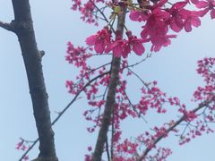 -南宁南湖公园