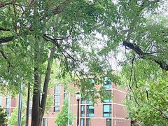 -宾夕法尼亚大学沃顿商学院