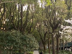-徐家汇公园