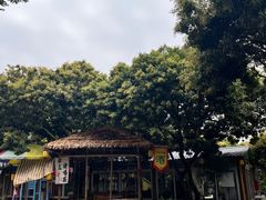 -大屏嶂森林公园