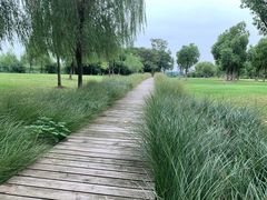 -南京眼步行桥