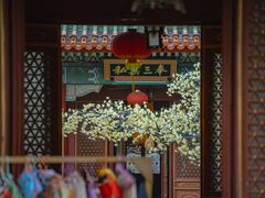 -珠海圆明新园