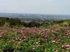 -金堂县云顶石城风景区