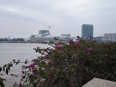 -荔湾湖公园