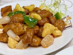 -凤城礼记鱼翅海鲜酒家(新马路总店)
