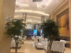 -四方阁酒楼·宴会厅(圣灯店)