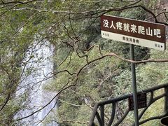 -龙湾潭国家森林公园