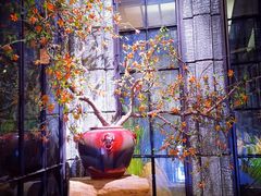 -范设计花园餐酒咖·中西餐·咖啡厅·酒馆