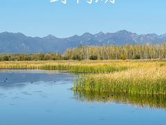 -野鸭湖国家湿地公园