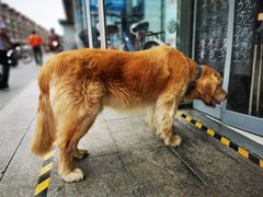 -昌顺马记小吃店(昌盛园店)