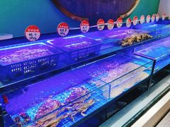 -鸽子侯·家宴·平价海鲜(市图书馆店)