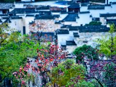 -塔川景区