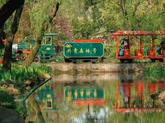 -上海共青森林公园