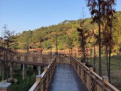 -神光山国家森林公园