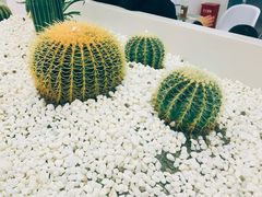 -SEVENBUS(中骏世界城店)